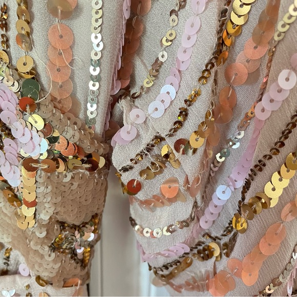 Free People Celeste Sequin Dress / Free People Dress - Picture 12 of 16